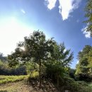 팔미농장 이미지