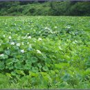 교학초등학교 이미지