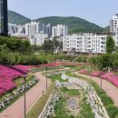 백운힐링밸리 수원시민신문