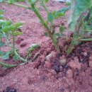 단꿈어린이집 이미지