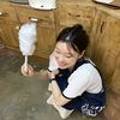 롣드(rodde)