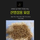 산에다 심어보세요 (산양삼용 묘삼) 예약접수 이미지