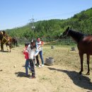속사초등학교 이미지