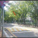 목동로(동측) 이미지