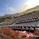 강진된장 영농조합법인 이미지