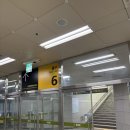 솔의향기 | 부천 여드름 관리 제대로 받고 온 후기｜여드름 케어 솔에스테틱 부천점 (상동에스테틱 여드름케어)