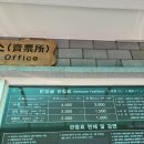 태양청과 - 부천시 오정구 삼작로 394 | (제주 제주시 구좌읍 월정리) 만장굴 입구 삼거리 만장굴 재개장