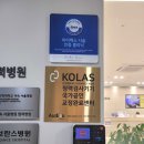 반석이비인후과의원 이미지