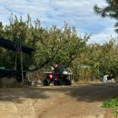 시동농장 | 충북 보은군 마로면 가성비 최강 사륜 바이크 난다 125 차량 납품 후기