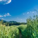 동강둔치 이미지