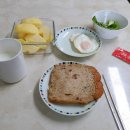 사림동251 | 2월 3일의 일기; 혼자 카페, 에코백 개시, 손톱쳐다보기, 튀김과 떡볶이, 카페에서 뜨개질 구경