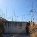 금호강변로 | [경산] 연못 뷰와 함께 멍때리기 좋은 대형 카페 "스페이스임원" 내돈내산 후기