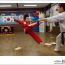 경희대 석사 현대 태권도장 이미지