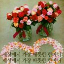 백신경외과의원 이미지