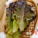 비틀노래연습장 | 2018.01.02 도계동 족발 맛집 김서방왕족발 추천 및 동노(동전노래방) 후기...