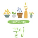 새차느낌