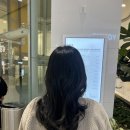 (주)신영광셀프주유소 | 6개월만에 결혼준비하기_웨딩촬영 스튜디오 <메종드 플레이버> 반셀프촬영 후기