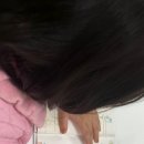 늘푸른소나무도서관 이미지