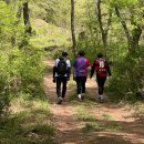 내곡동637 이미지