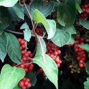 명산농장 이미지