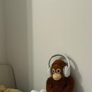 파리바게트 송림점 - 10427 | 파리바게트 송림점