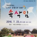 노거수 은행나무 축제의 속삭임 이미지