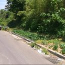 김병석공인중개사사무소 이미지