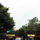 용인자연휴양림 | 용인자연휴양림 예약 방법 밤티골 후기