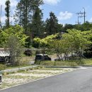 엄송치킨 이미지