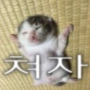 15만원을 받고도 가고 싶지않은 뷰민라 후기