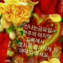 오늘의날씨 이미지