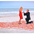 프로포즈 이미지