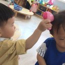 시영드라이 이미지