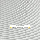 오드리이모션(AUDREY EMOTION) 네이버블로그