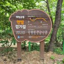 여우길 | 수원 맨발걷기 좋은 곳 추천｜광교 가볼만한곳 혜령공원 맨발걷기길 다녀온 후기