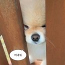 만듦팩토리 네이버블로그