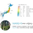 시미3리 이미지