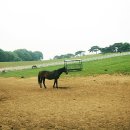 주박농장 이미지