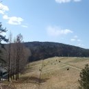 경기도 수원시 장안구 창훈로60번길 이미지