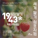 1943 뉴시스
