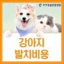 주주 동물병원 이미지