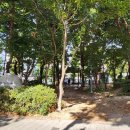 오세요 댕댕이 이미지