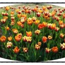 부상보건진료소 이미지