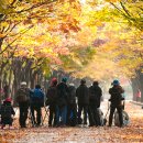 느티나무길 이미지