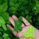송파YMCA 이미지