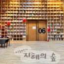 파주출판단지 지혜의 숲 &amp; 라이브러리 스테이 지지향