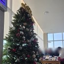 올리브앤브래드 | [송도카페] 롱비치커피앤브래드 / 내돈내산 송도 오션뷰 디저트 맛집 추천 / 크림치즈도넛, 생딸기...