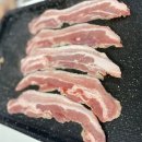 스테이고현