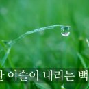 작은백로 - 청주시 청원구 충청대로115번길 15-2 | 작은백로