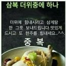 중복 Daum카페